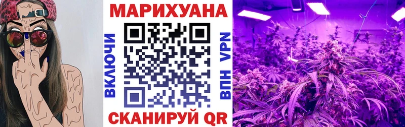 Марихуана тримм Теберда